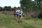 cir_659.jpg