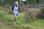 cir_704.jpg
