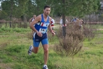 cir_707.jpg