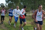 cir_710.jpg