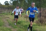cir_716.jpg