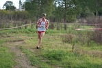 cir_732.jpg