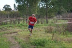 cir_733.jpg