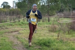 cir_736.jpg
