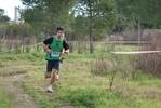 cir_739.jpg