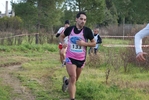 cir_744.jpg