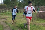 cir_746.jpg