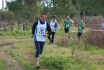 cir_747.jpg