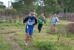 cir_748.jpg