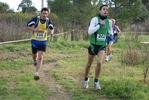 cir_754.jpg