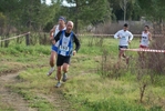cir_761.jpg
