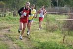 cir_767.jpg