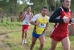 cir_768.jpg
