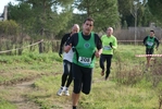 cir_773.jpg