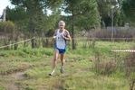 cir_779.jpg