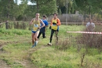 cir_781.jpg