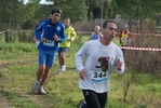 cir_785.jpg