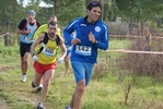 cir_786.jpg