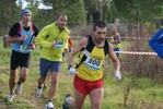 cir_787.jpg