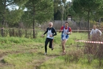 cir_799.jpg