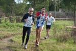cir_801.jpg