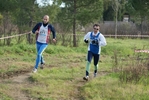 cir_803.jpg