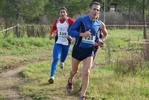cir_809.jpg