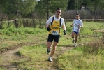cir_811.jpg