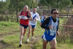 cir_819.jpg