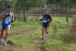 cir_822.jpg