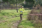 cir_829.jpg