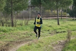 cir_831.jpg