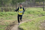cir_832.jpg