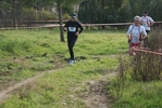 cir_833.jpg