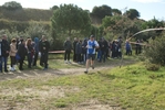 cir_844.jpg