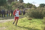 cir_845.jpg