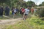 cir_848.jpg