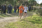 cir_851.jpg