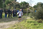 cir_852.jpg