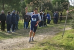 cir_855.jpg