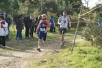 cir_856.jpg