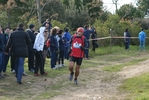 cir_860.jpg