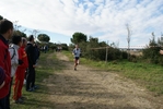 cir_869.jpg