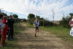 cir_870.jpg