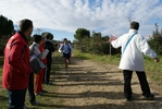 cir_904.jpg