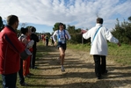 cir_905.jpg
