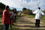 cir_907.jpg