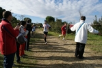 cir_908.jpg