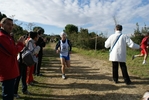 cir_910.jpg