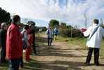cir_919.jpg